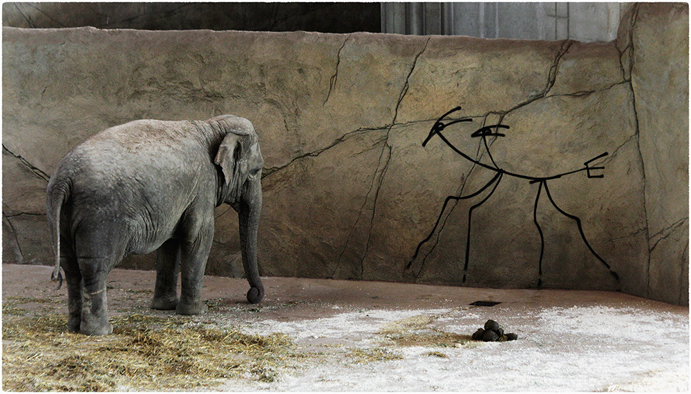 Elefant im Koelner Zoo betrachtet Graffito von Harald Naegeli, dem Sprayer von Zuerich 17.6.2010