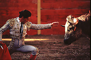 Corrida in Mexico